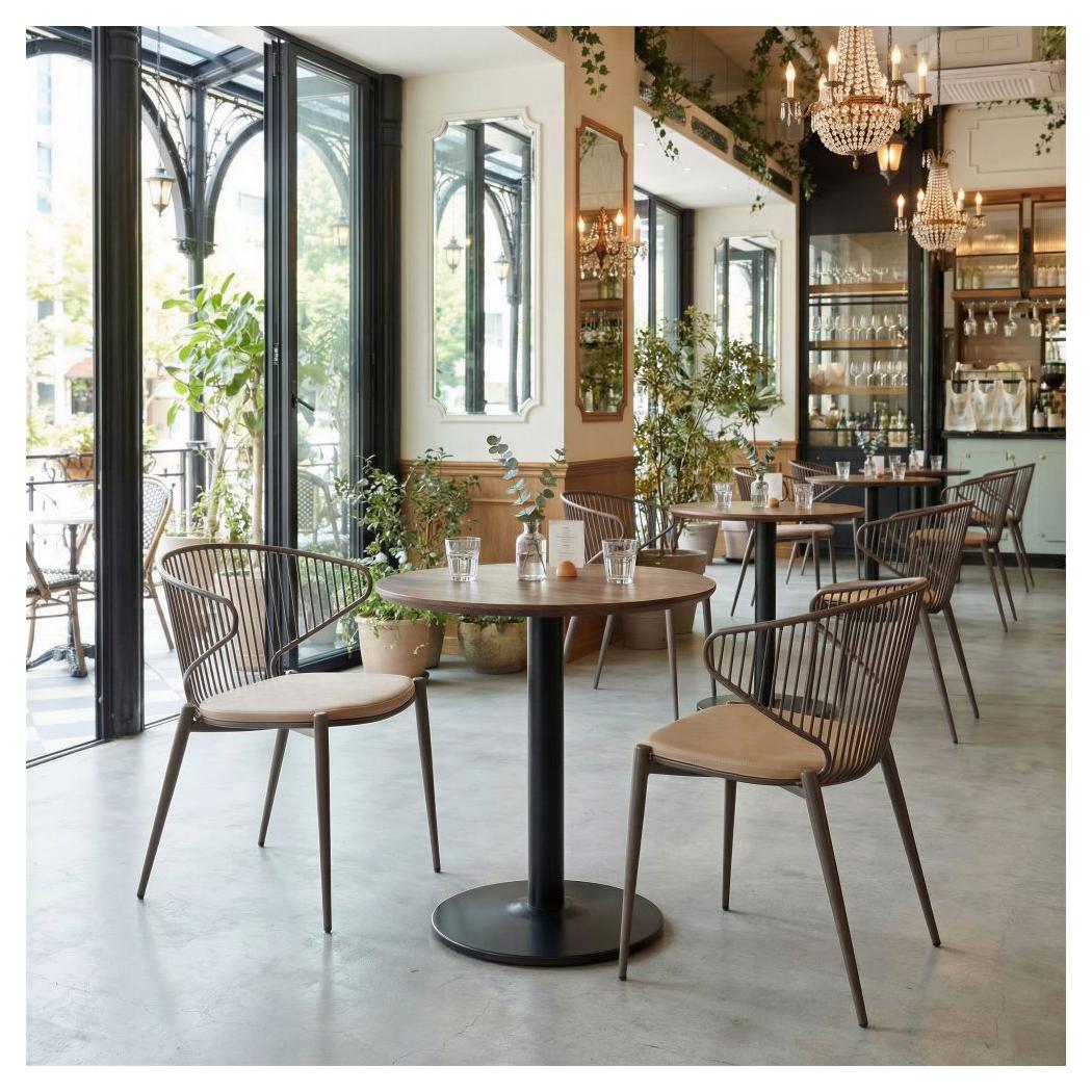 Silues Dining Chair Taupe & Brown