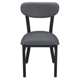 Curvy Metal Chair19b9a43e78f6dd4002