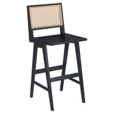 Gaia Cane Bar Stool19b9500e4223e91a54
