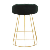 Canary Counter Stool - Set of 2