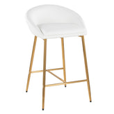 Matisse 26" Fixed-Height Counter Stool - Set of 2