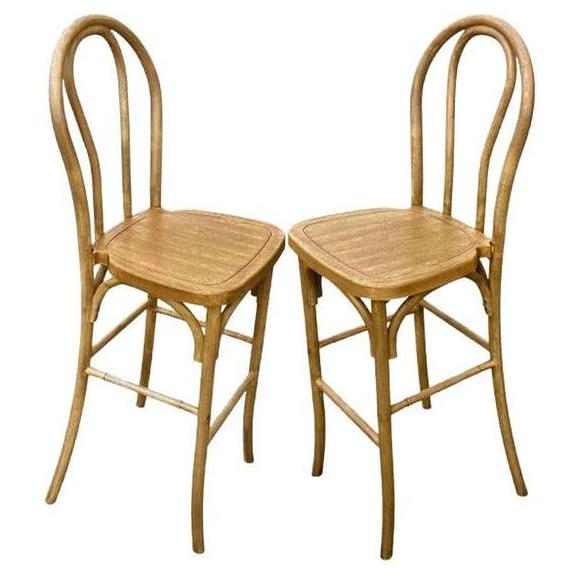 Outdoor Resin Steel Skeleton Bentwood Bar Stool - 2 Pack