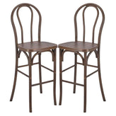 Outdoor Resin Steel Skeleton Bentwood Bar Stool - 2 Pack