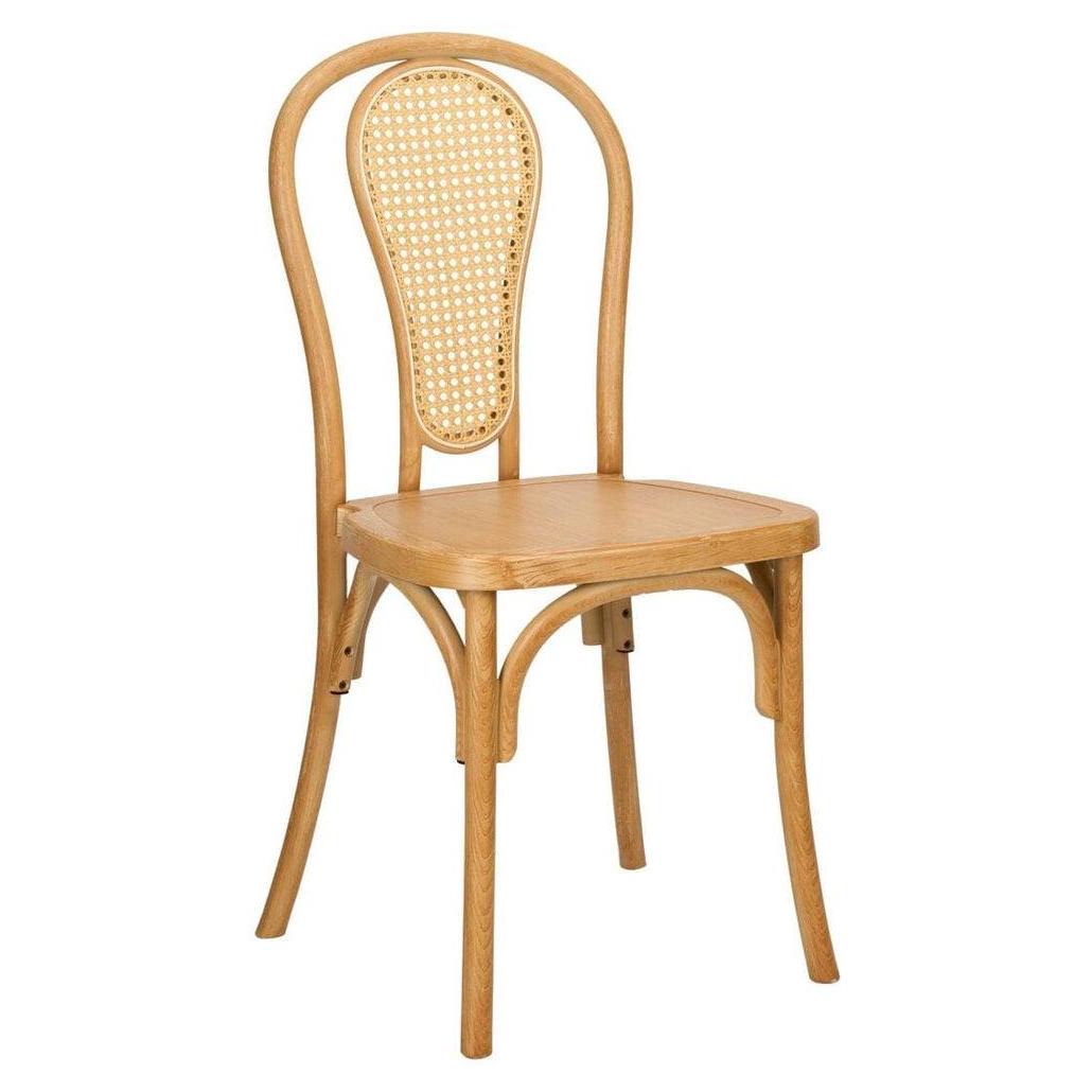 Modern Resin Outdoor Bentwood Style Side Chairs