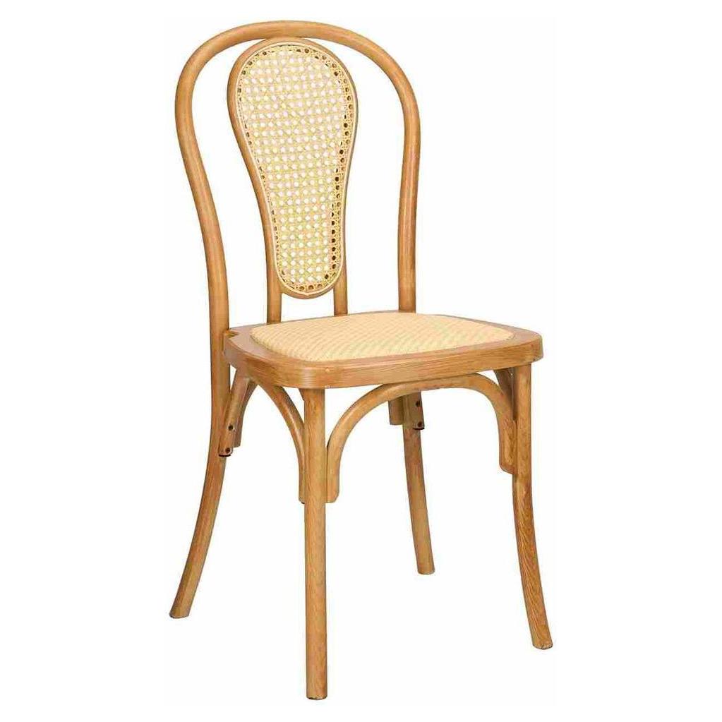 Modern Resin Outdoor Bentwood Style Side Chairs