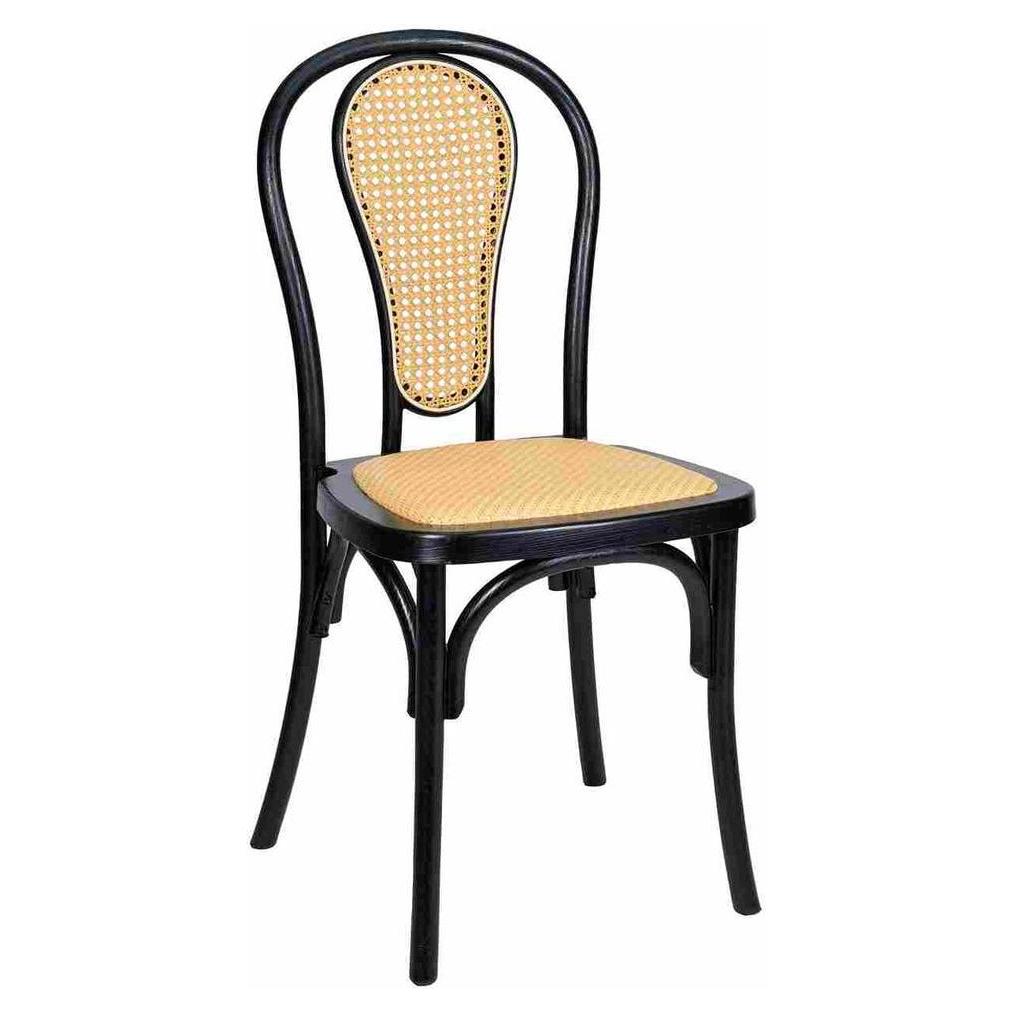 Modern Resin Outdoor Bentwood Style Side Chairs