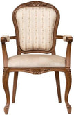 Colette Lounge Aluminum Arm Chair19fd93c1fef5a6b5fd