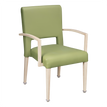 Camellia Aluminum Arm Chair19fd93b734a261dc2d