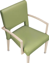 Camellia Aluminum Arm Chair19fd93b734a3529812