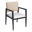 Alessia Aluminum Arm Chair         19fd93b48e15288338
