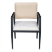 Alessia Aluminum Arm Chair         19fd93b48e1683284d